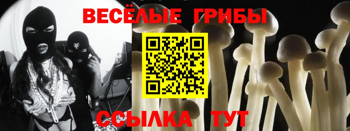 Псилоцибиновые грибы мицелий  даркнет сайт  Майский  Вход с VPN  Галлюциногенные грибы мухоморы 