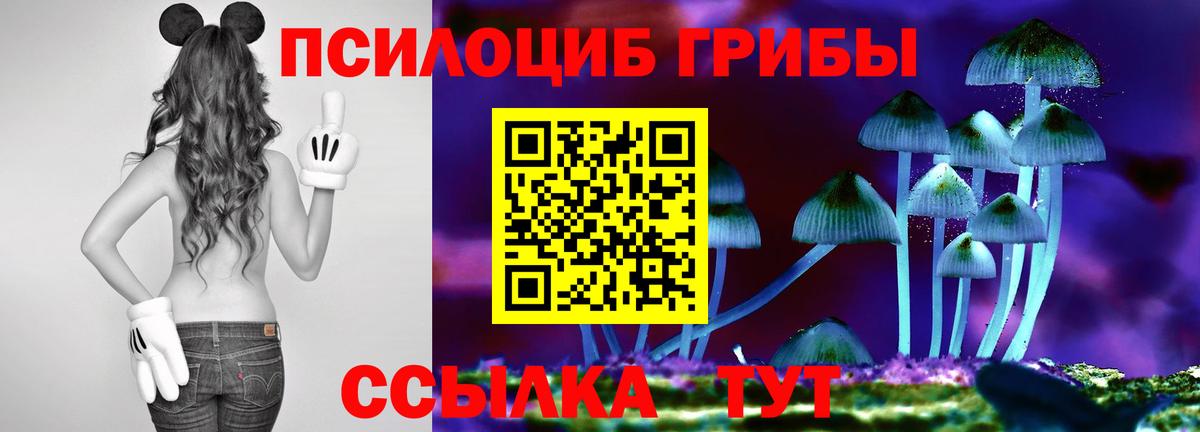 Псилоцибиновые грибы мицелий Майский